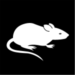 Pictogram